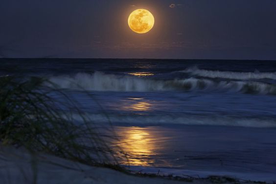 FullMoonShoreExplore